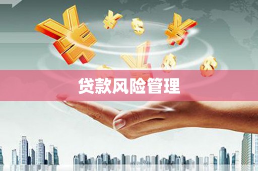 崖州贷款风险管理