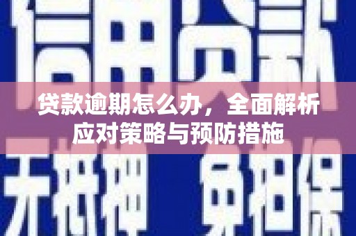 崖州贷款逾期怎么办，全面解析应对策略与预防措施