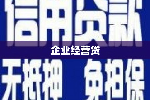 崖州企业经营贷