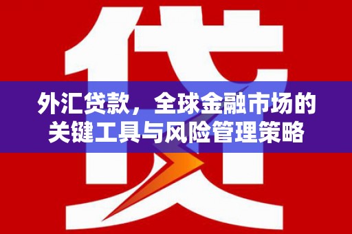 崖州外汇贷款，全球金融市场的关键工具与风险管理策略