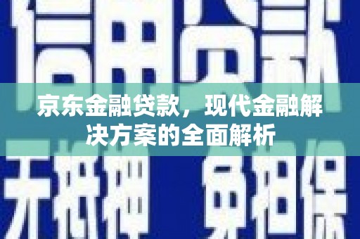 崖州京东金融贷款，现代金融解决方案的全面解析