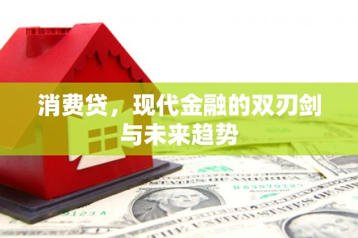崖州消费贷，现代金融的双刃剑与未来趋势