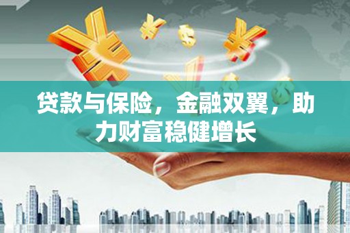 崖州贷款与保险，金融双翼，助力财富稳健增长
