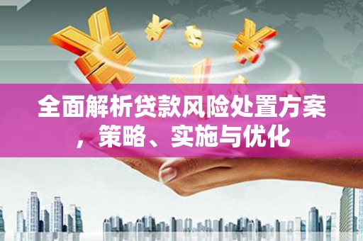 崖州全面解析贷款风险处置方案，策略、实施与优化