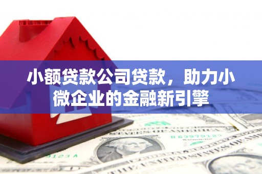 崖州小额贷款公司贷款，助力小微企业的金融新引擎