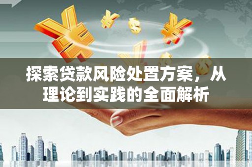 崖州探索贷款风险处置方案，从理论到实践的全面解析