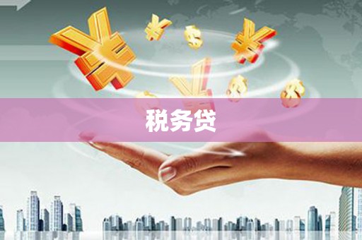 崖州税务贷