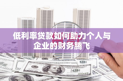 崖州低利率贷款如何助力个人与企业的财务腾飞