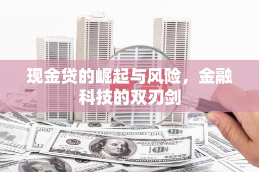 崖州现金贷的崛起与风险，金融科技的双刃剑