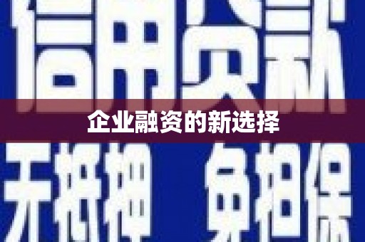 崖州企业融资的新选择