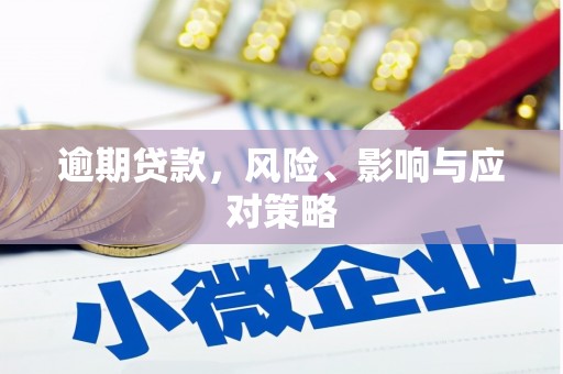 崖州逾期贷款，风险、影响与应对策略