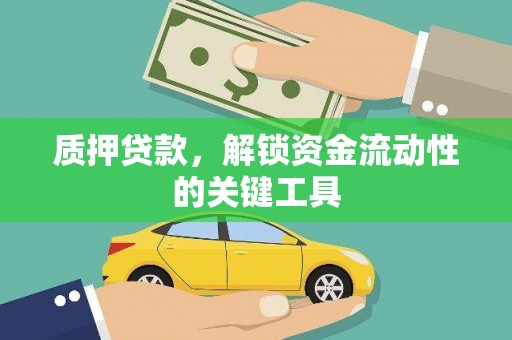 崖州质押贷款，解锁资金流动性的关键工具