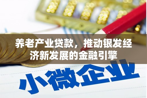 崖州养老产业贷款，推动银发经济新发展的金融引擎