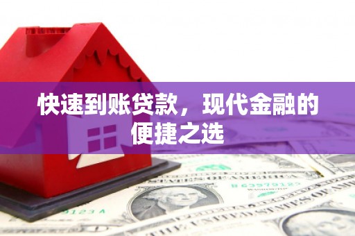崖州快速到账贷款，现代金融的便捷之选