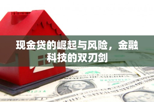 崖州现金贷的崛起与风险，金融科技的双刃剑