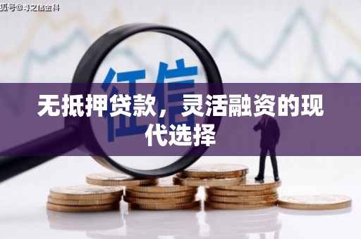 崖州无抵押贷款，灵活融资的现代选择
