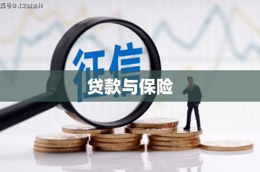 崖州贷款与保险