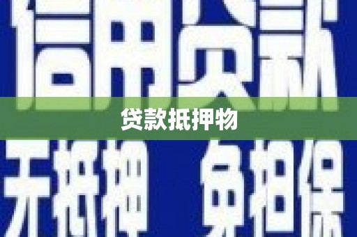 崖州贷款抵押物