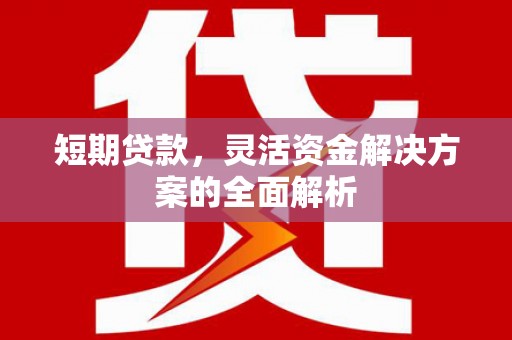 崖州短期贷款，灵活资金解决方案的全面解析
