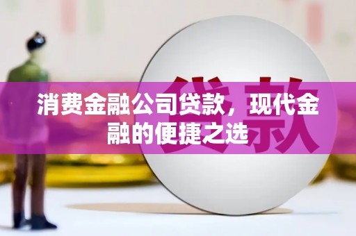 崖州消费金融公司贷款，现代金融的便捷之选