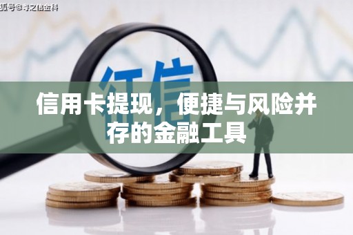 崖州信用卡提现，便捷与风险并存的金融工具