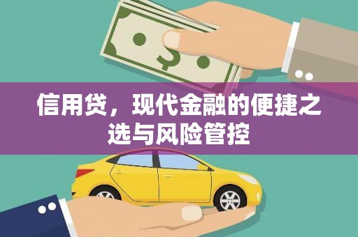崖州信用贷，现代金融的便捷之选与风险管控