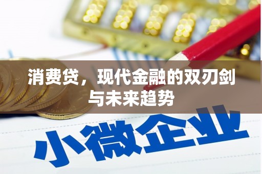 崖州消费贷，现代金融的双刃剑与未来趋势