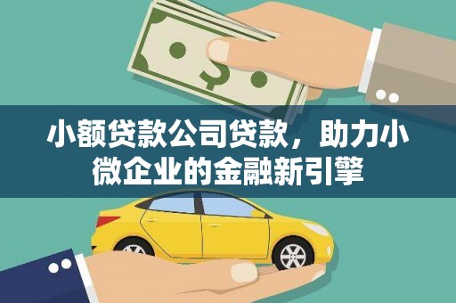 崖州小额贷款公司贷款，助力小微企业的金融新引擎