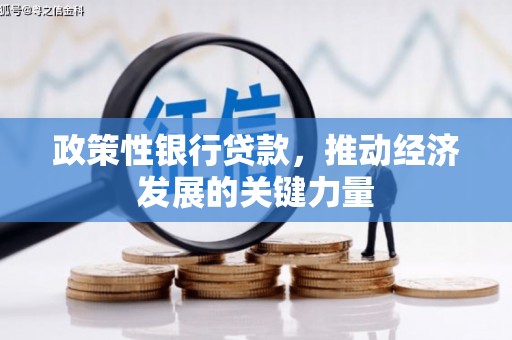 崖州政策性银行贷款，推动经济发展的关键力量