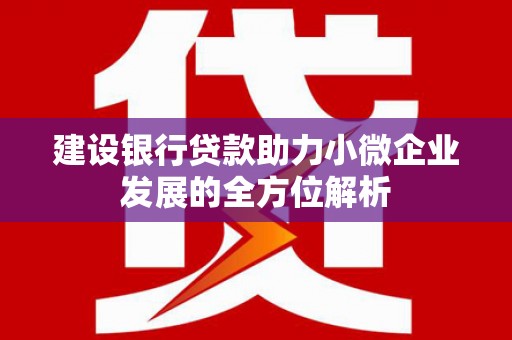 崖州建设银行贷款助力小微企业发展的全方位解析