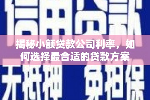 崖州揭秘小额贷款公司利率，如何选择最合适的贷款方案