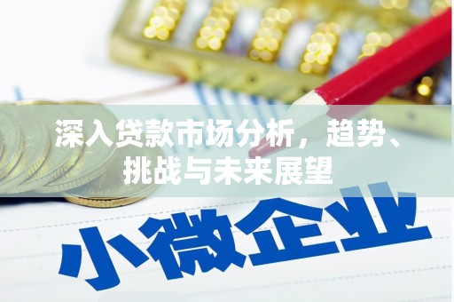 崖州深入贷款市场分析，趋势、挑战与未来展望