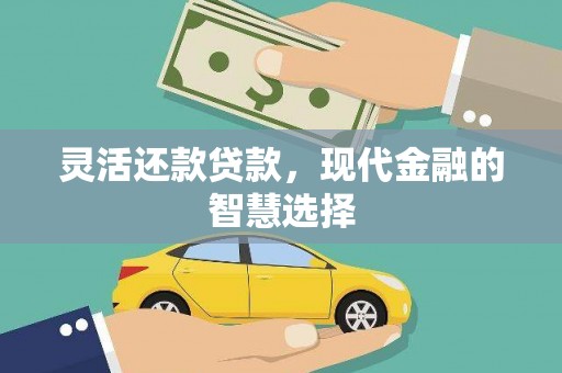 崖州灵活还款贷款，现代金融的智慧选择