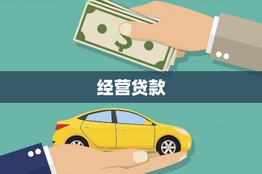 崖州经营贷款
