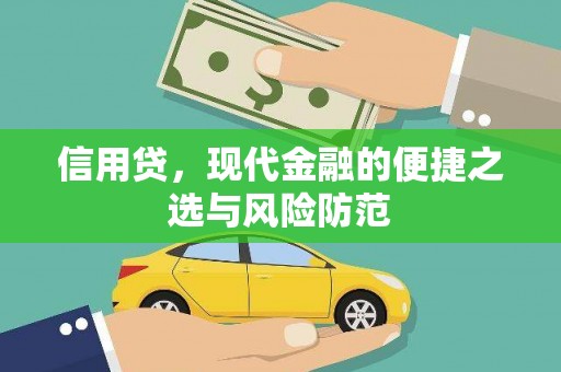 崖州信用贷，现代金融的便捷之选与风险防范
