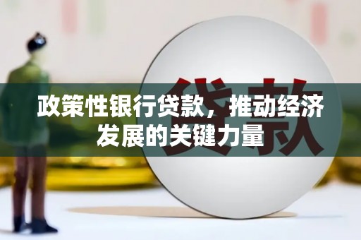 崖州政策性银行贷款，推动经济发展的关键力量