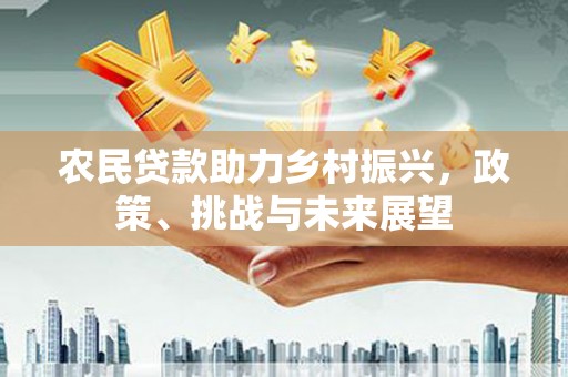 崖州农民贷款助力乡村振兴，政策、挑战与未来展望