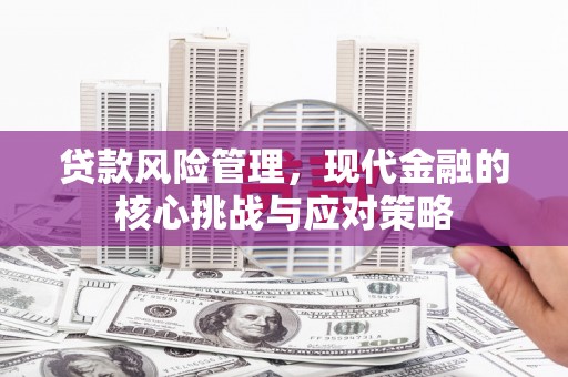 崖州贷款风险管理，现代金融的核心挑战与应对策略