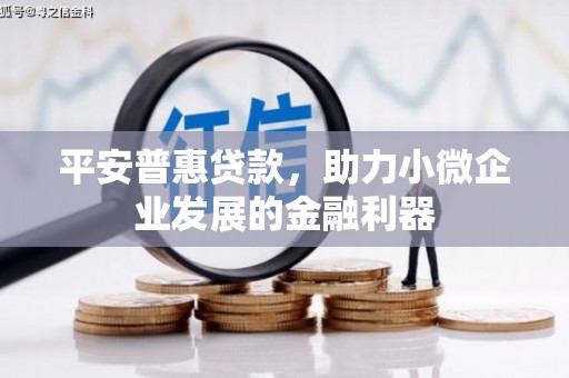 崖州平安普惠贷款，助力小微企业发展的金融利器