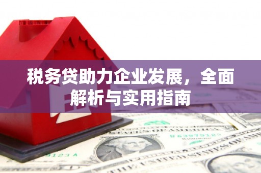 崖州税务贷助力企业发展，全面解析与实用指南