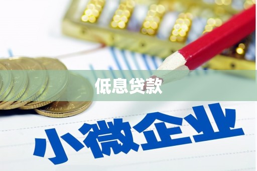 崖州低息贷款