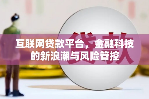 崖州互联网贷款平台，金融科技的新浪潮与风险管控