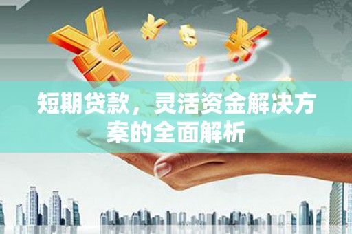 崖州短期贷款，灵活资金解决方案的全面解析