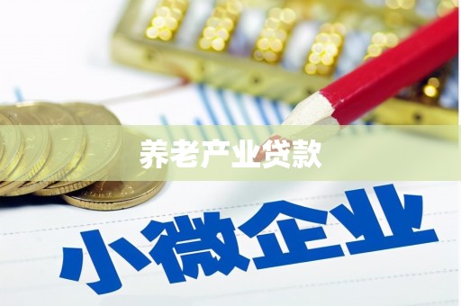 崖州养老产业贷款