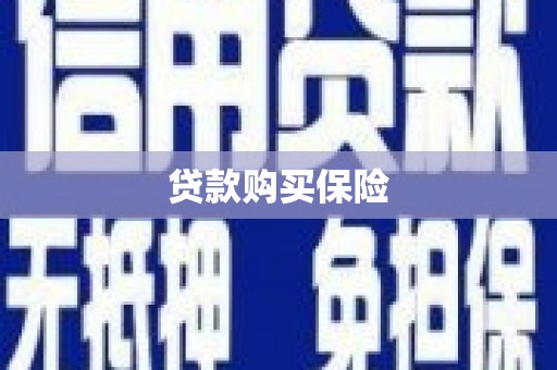 崖州贷款购买保险
