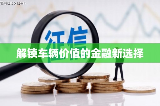 崖州解锁车辆价值的金融新选择