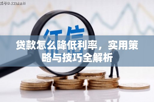 崖州贷款怎么降低利率，实用策略与技巧全解析