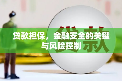 崖州贷款担保，金融安全的关键与风险控制