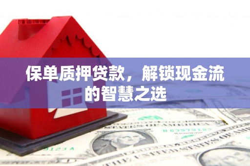 崖州保单质押贷款，解锁现金流的智慧之选
