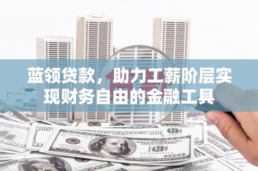 崖州蓝领贷款，助力工薪阶层实现财务自由的金融工具